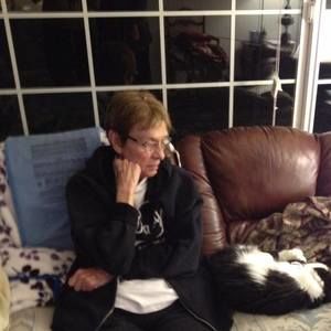 Meet your Posher, Sue